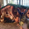 Une crèche de Noël, au cœur d’une décision de justice à Asnières sur Seine.