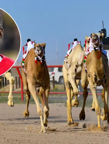 Paul Pogba investit dans une écurie de courses de chameaux en Arabie saoudite