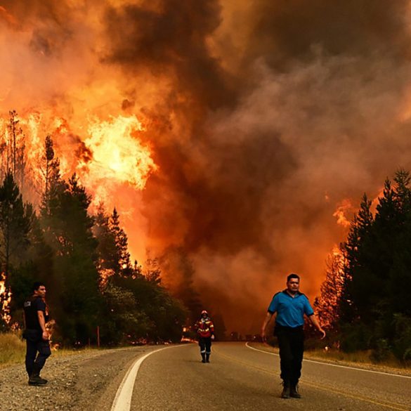 Patagonie : un incendie hors de contrôle ravage plus de 5 500 hectares