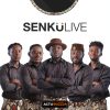 Senkulive veut faire revivre l’héritage ghanéen avec « Oblayoo »