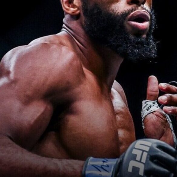 Salahdine Parnasse en combat à l’UFC