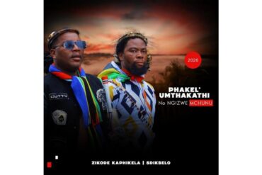 Visuel musical associé à Ngizwe Mchunu