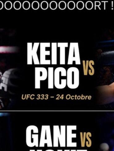 Montage de combats MMA avec Losene Keita, Ciryl Gane et d’autres combattants